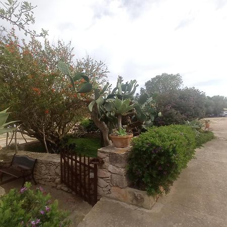 Casa Rural Es Cap De Barbaria San Francisco Javier Exterior foto